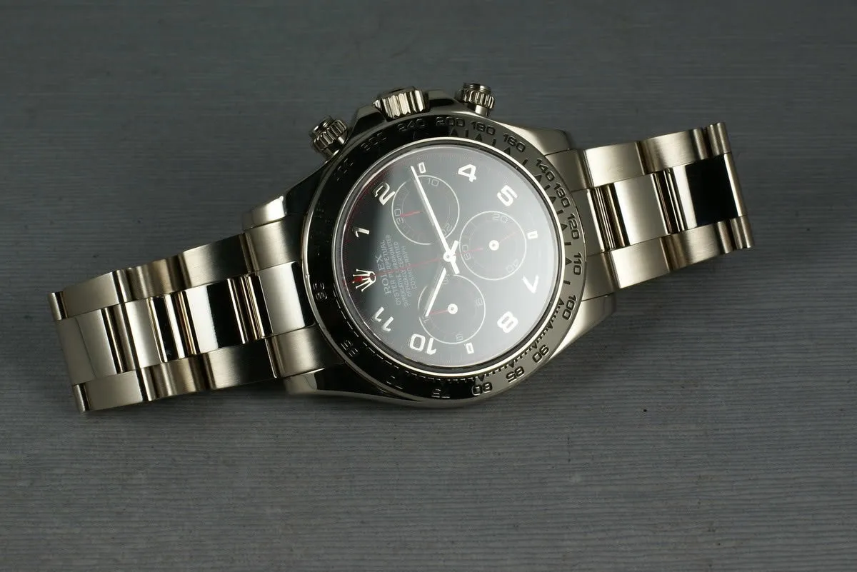 Rolex WG Daytona 116509 black dial with papers